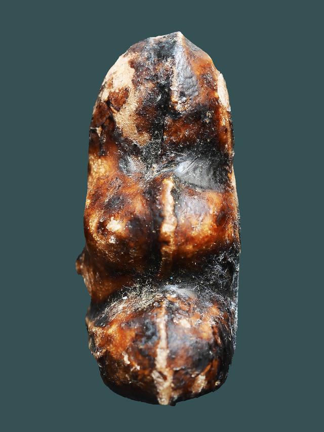 พระปิดตาเนื้อผงคลุกรัก หลวงพ่อทองสุข วัดสะพานสูง พิมพ์สะดือจุ่น...เก่า เดิมๆ 3