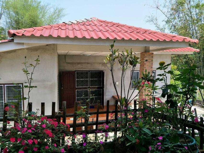 บ้านเดี่ยวตากอากาศเชียงใหม่ 3
