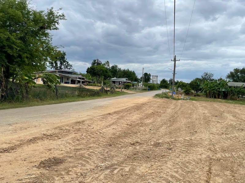 ที่ดินราคาถูก 290,000   เทศบาลตำบลทุ่งหลวง0824657058 1