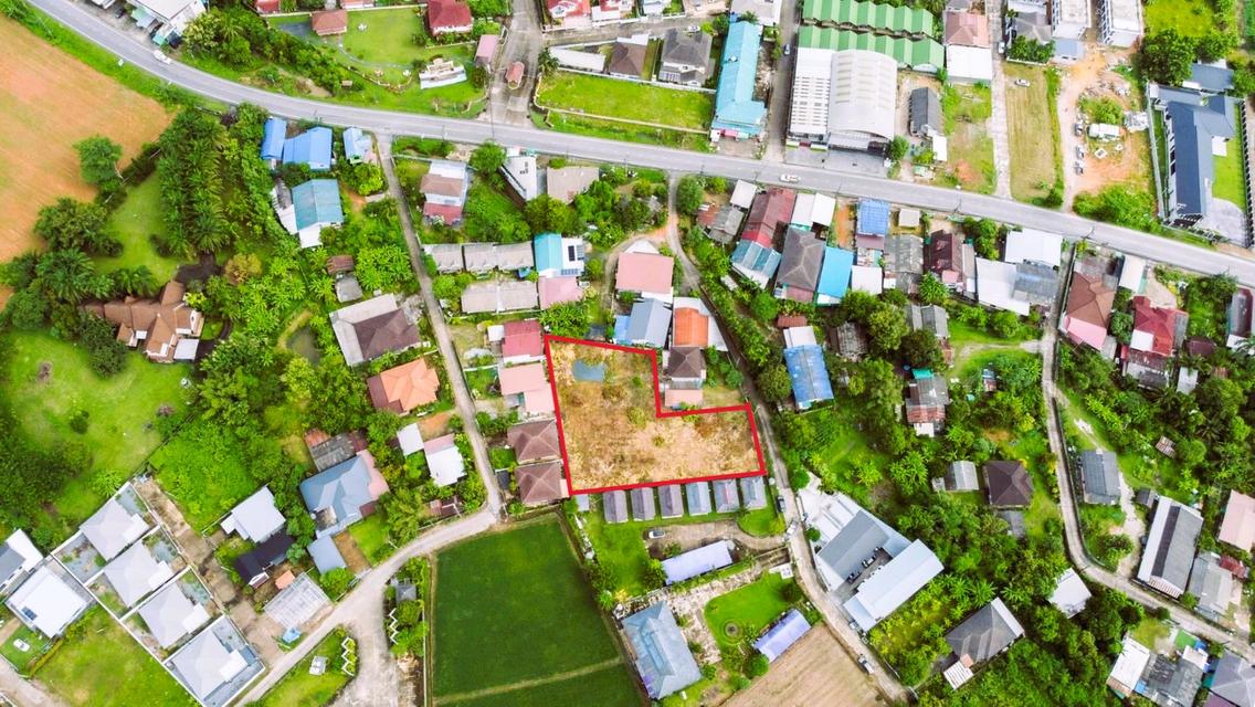 ขายที่ดินเปล่า 1 ไร่ 50 ตร.ว. บ้านป่าไร่ ซ.4 เดินทางสะดวก ใกล้ม.ราชภัฏเชียงราย ( เจ้าของขายเอง ) 13