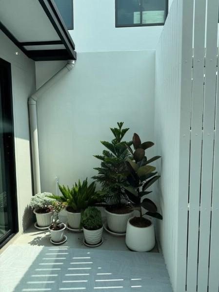ให้เช่าทาวน์โฮมโครงการ พลีโน่สุขุมวิท - บางนา 4 ขนาด 3 ห้องนอน 3 ห้องน้ำ บ้านสวยตกแต่งพร้อมเข้าอยู่ 2