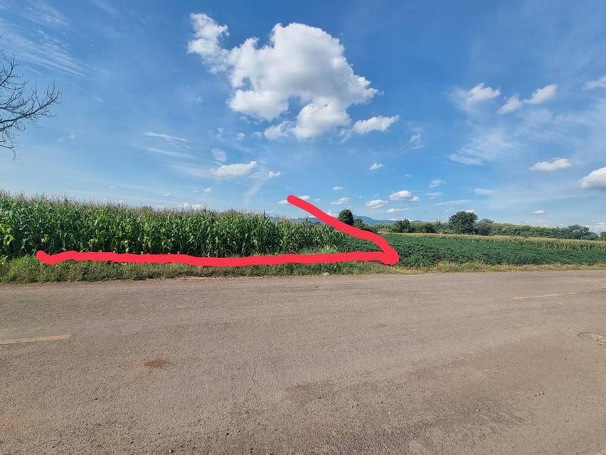 ขายที่ดิน 20ไร่เศษ ต.ลาดแค ชนแดน ขายเหมายกแปลง1.9 ล้าน 8