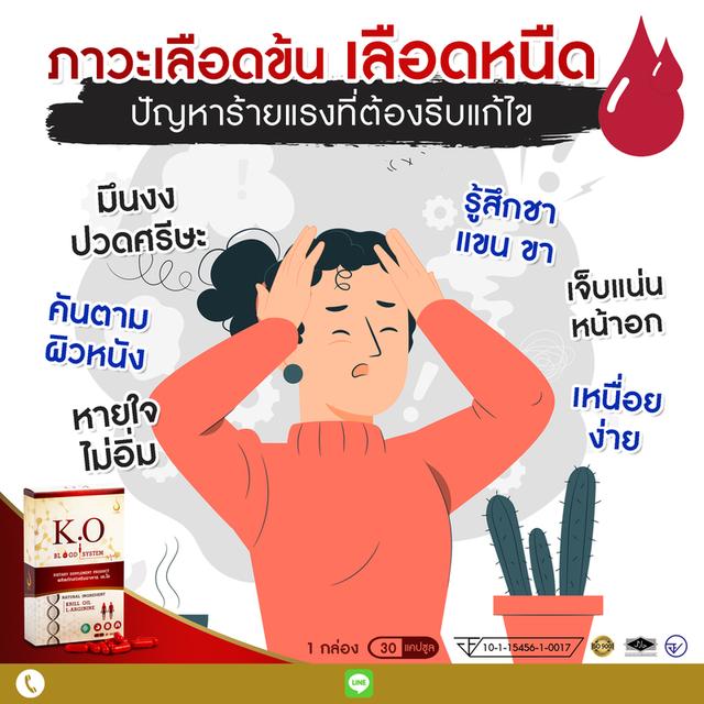 เค.โอ อาหารเสริมเพื่อระบบเลือด เวียนหัว บ้านหมุน ชาปลายมือ-เท้า วูบ เซ มีความเสี่ยยงเส้นเลือเสมองตีบ เค.โอ ขอวแท้ จากสำนักงานใหญ่ รูปย่อยที่ 3