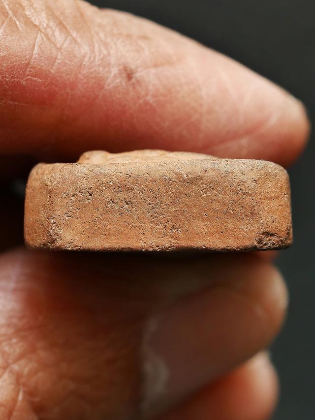 พระหลวงพ่อปาน วัดบางนมโค พิมพ์ขี่ปลากัด...เก่าๆ 11