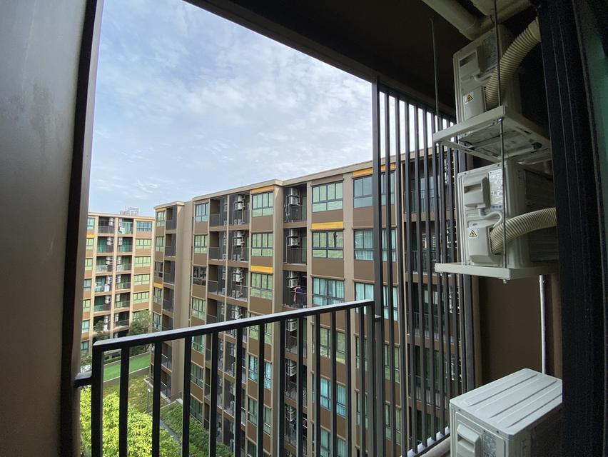 ปล่อยเช่า Dcondo Calm 16