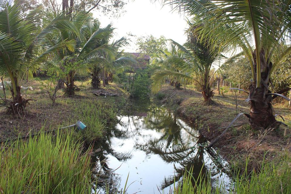 Thai house for sale in KhonKaen 19