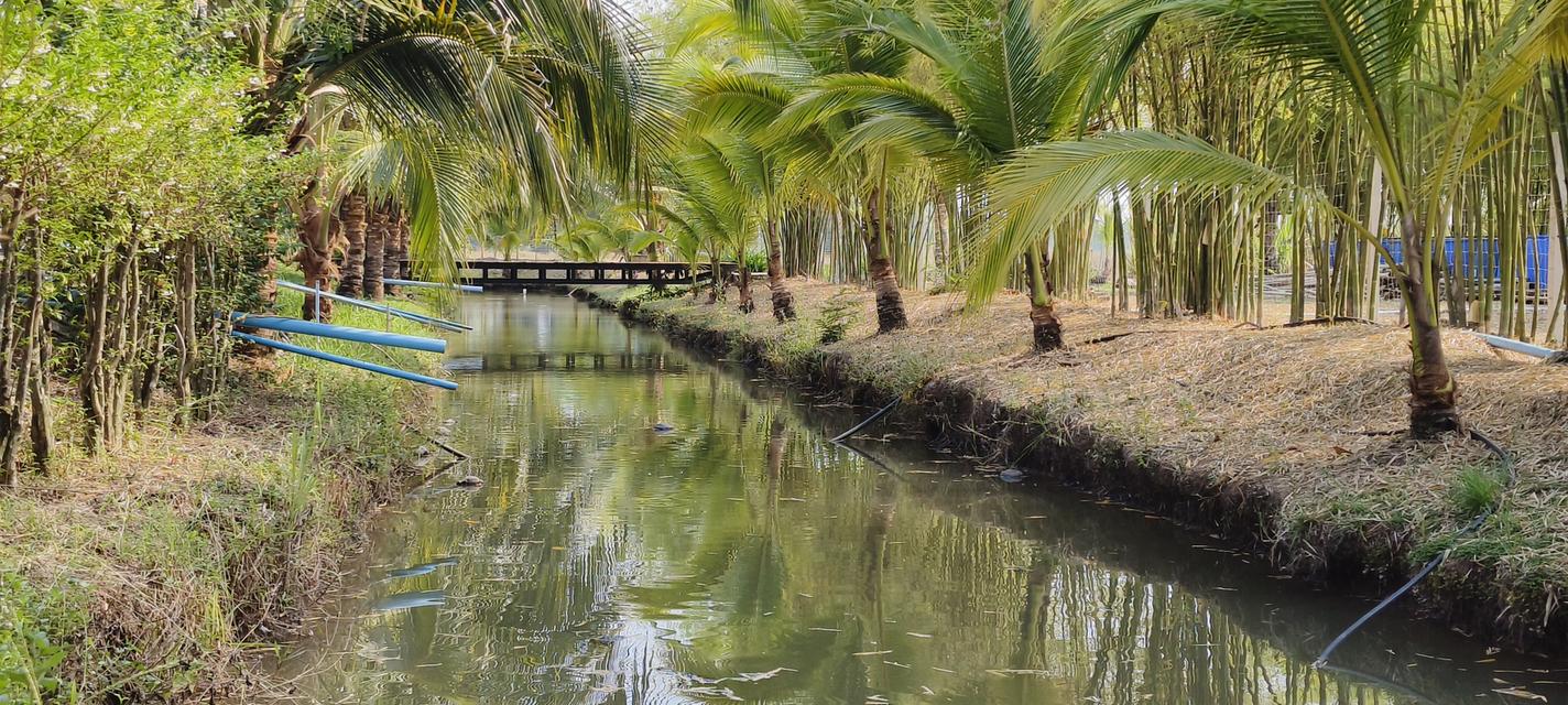 บ้านสวนพร้อมที่ดินสวย 4