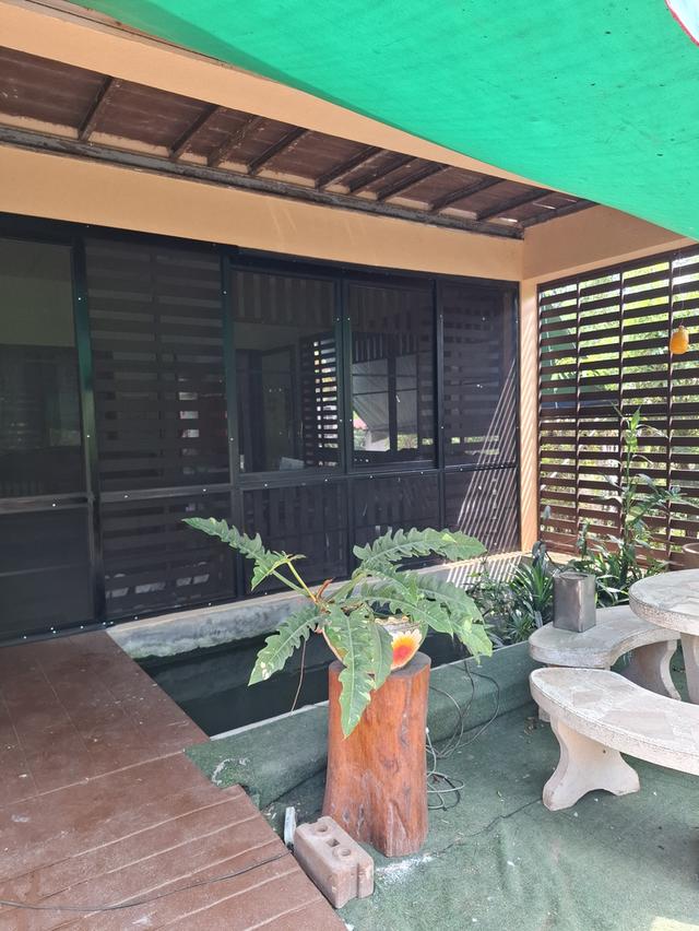 บ้าน2 ชั้น 4ห้องนอน 2ห้องน้ำ พื้นที่ใช้สอย 260 ตรม. พร้อมที่ดิาปลูกผลไม้รอบบ้าน 1 ไร่ 9