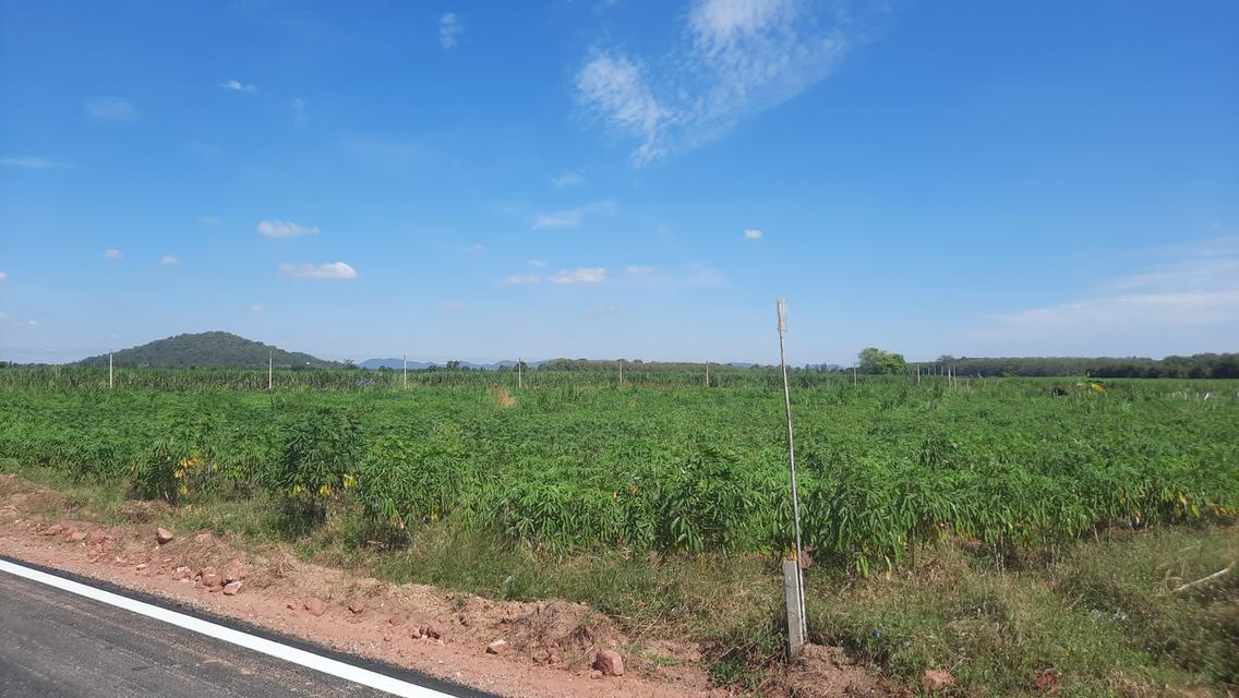 ที่ดิน 2-1-86 ไร่ 4