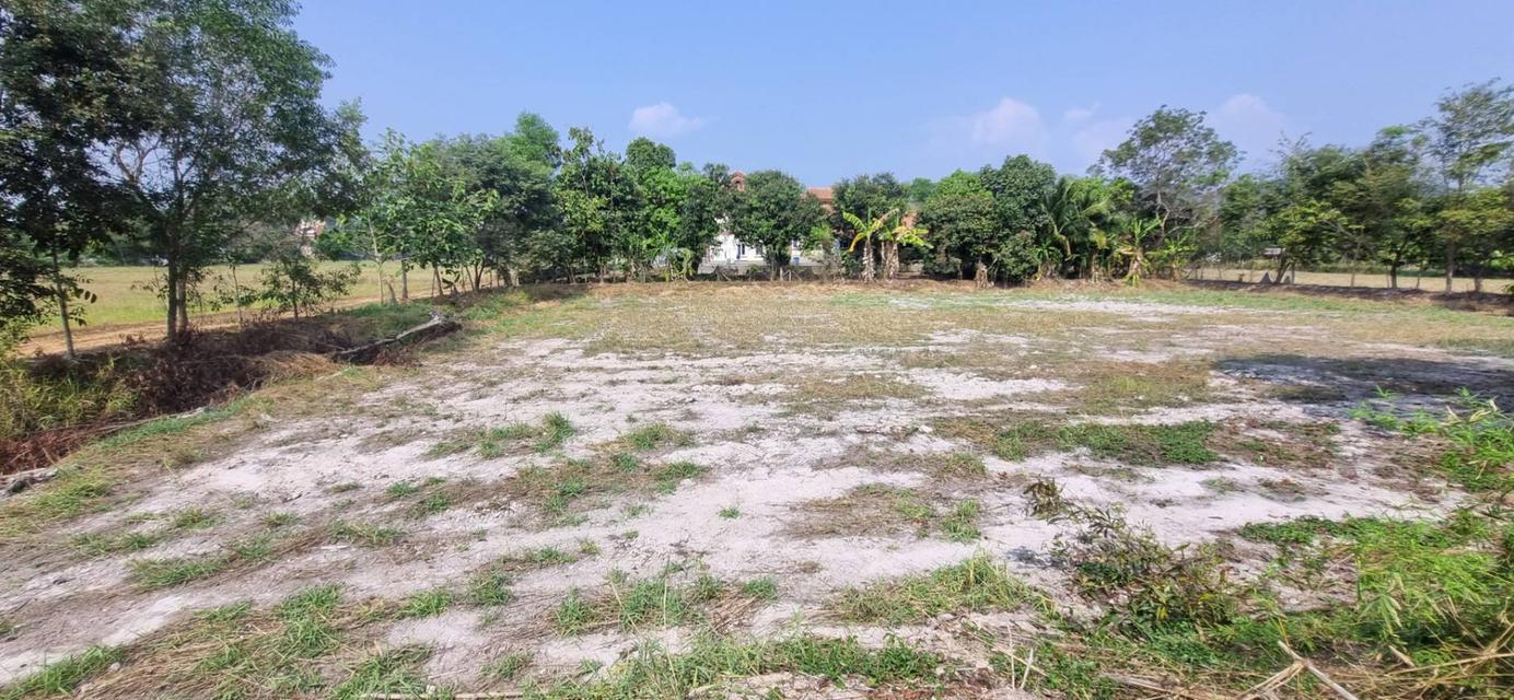 ขายที่ดินเปล่า นครนายก อ.เมือง 1 ไร่ 3 งาน 58 ตร.ว. ทำเลดี ติดคลอง ราคา 1.9 ล้าน 1