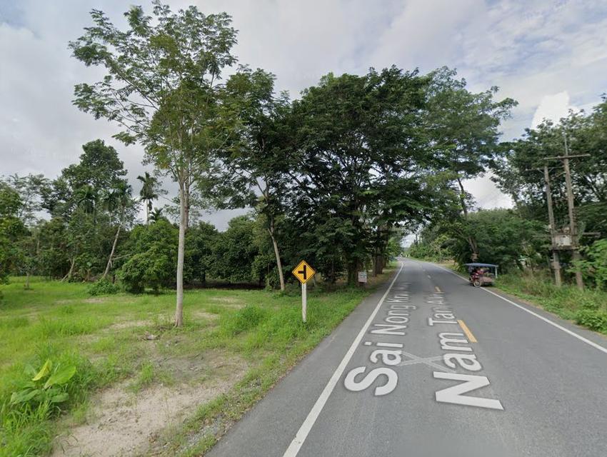 ขายที่ดินหนองบัว 2 ไร่ ติดถนนซ.หนองกรับ-โรงน้ำตาล ใกล้นิคมโรจนะ-5กม. อ.บ้านค่าย ระยอง 1