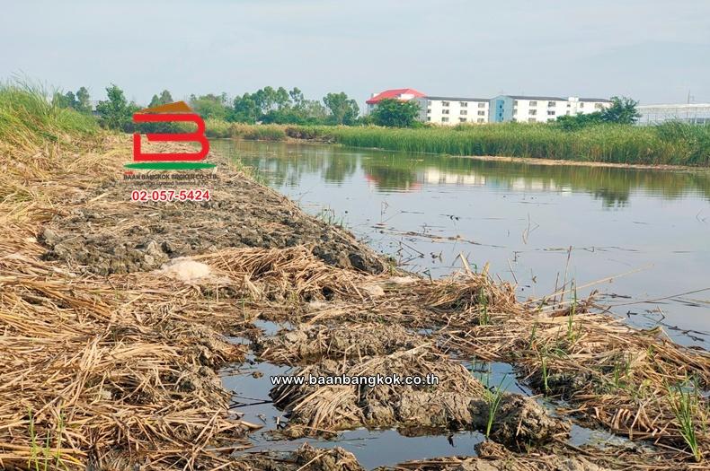 ที่ดินเปล่า เนื้อที่ 30-1-53 ไร่ ใกล้การไฟฟ้าบางปะกง ถนนบางนา-ตราด กม.52 ฝั่งขาออก ตำบลบางปะกง อำเภอบางปะกง ฉะเชิงเทรา 4