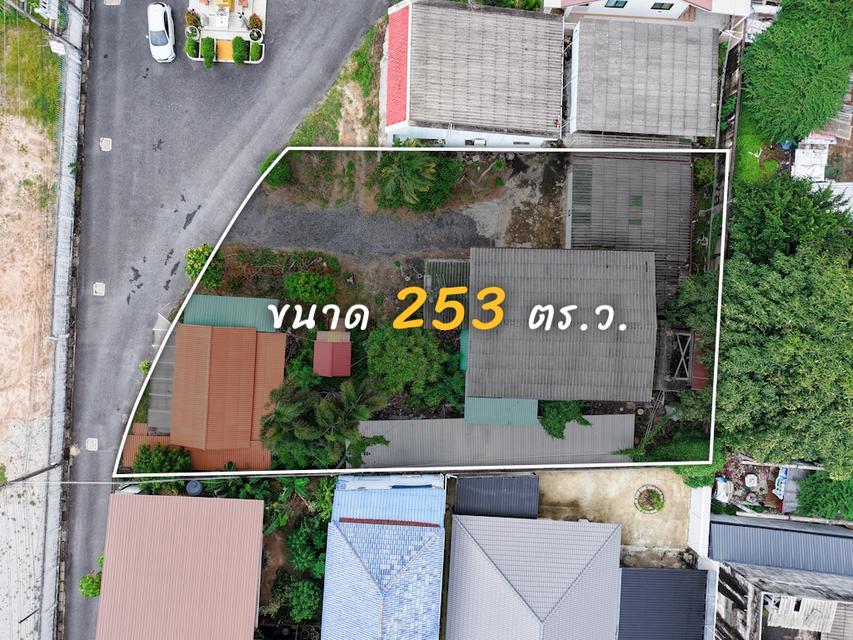 ขายที่ดินใจกลางเมืองบ้านฉาง จ. ระยอง 3