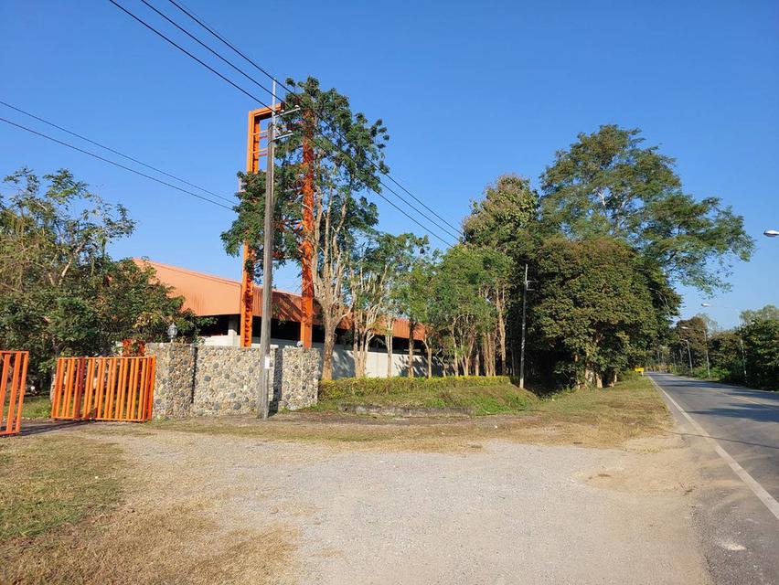 ขาย/ให้เช่าที่ดินเชียงราย 3