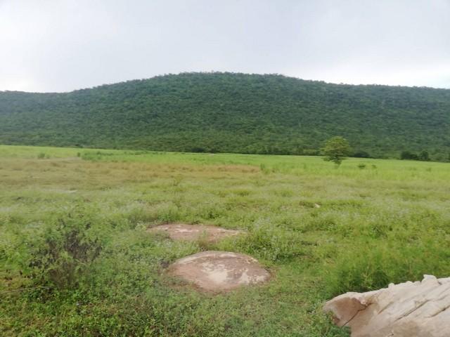 รวมบ้านที่ดินดีงามเพื่อคุณ ขายที่ดินสวยติดภูเขา เทือกเขายาวเรียงแนว ดินดีสมบูรณ์ทรัพย์ในดิน ฟ้าใสวิวหลักล้าน ต.นาจาน อ.ส 2