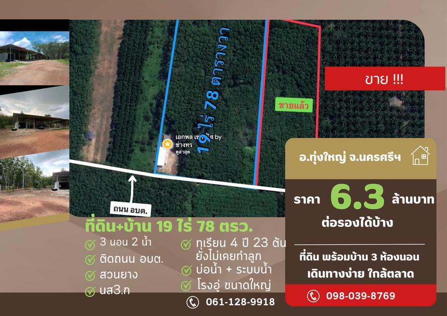 บ้านหลังใหญ่ พร้อมทุเรียน4ปี และสวนยางพารา 1