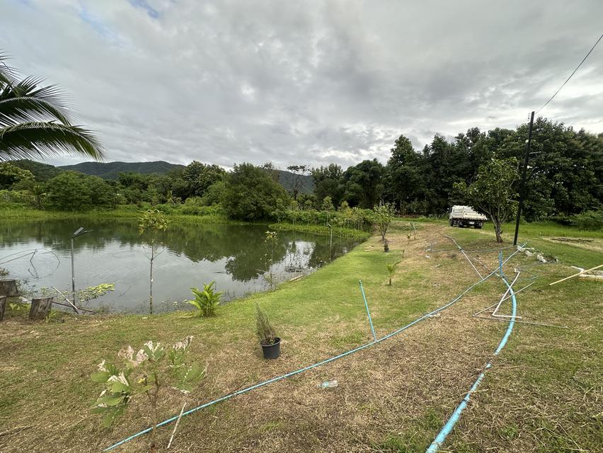 ที่ดิน สวน บ้าน บ่อปลา 1