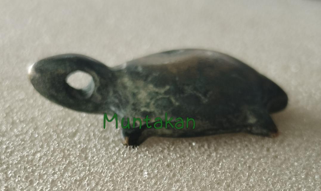 พญาเต่าเรือน(ไม่ระบุที่มา) รูปย่อยที่ 4