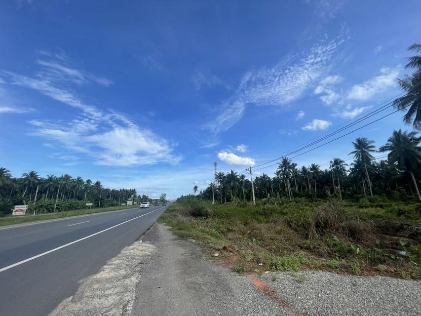 ขายที่ดินทำเลติดถนนใหญ่ หน้ากว้าง 112 เมตร ใกล้เซ็นทรัลสุราษฎร์ 2