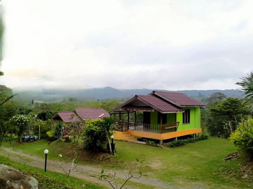 ปล่อยเช่ารายเดือน 2,000-3,000บาท มีเฟอร์นิเจอร์ 6