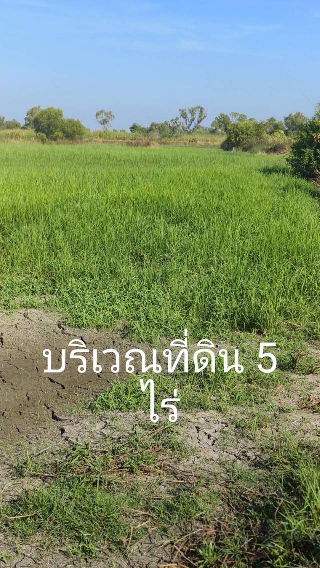 ขายที่ดินเปล่า 5 ไร่ จังหวัด นครนายก 3