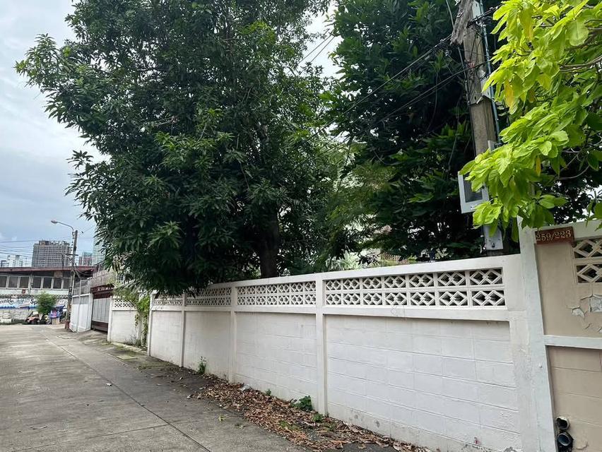 ขายที่ดินสุขุมวิท 71 เข้าออก เอกมัย/สุขุมวิท 65/ปรีดี15 แปลงสวยมาก ถนนหน้าที่ดินกว้าง สภาพแวดล้อมดี ใกล้ BTS เอกมัย พระโขนง Land Sukhumvit 1