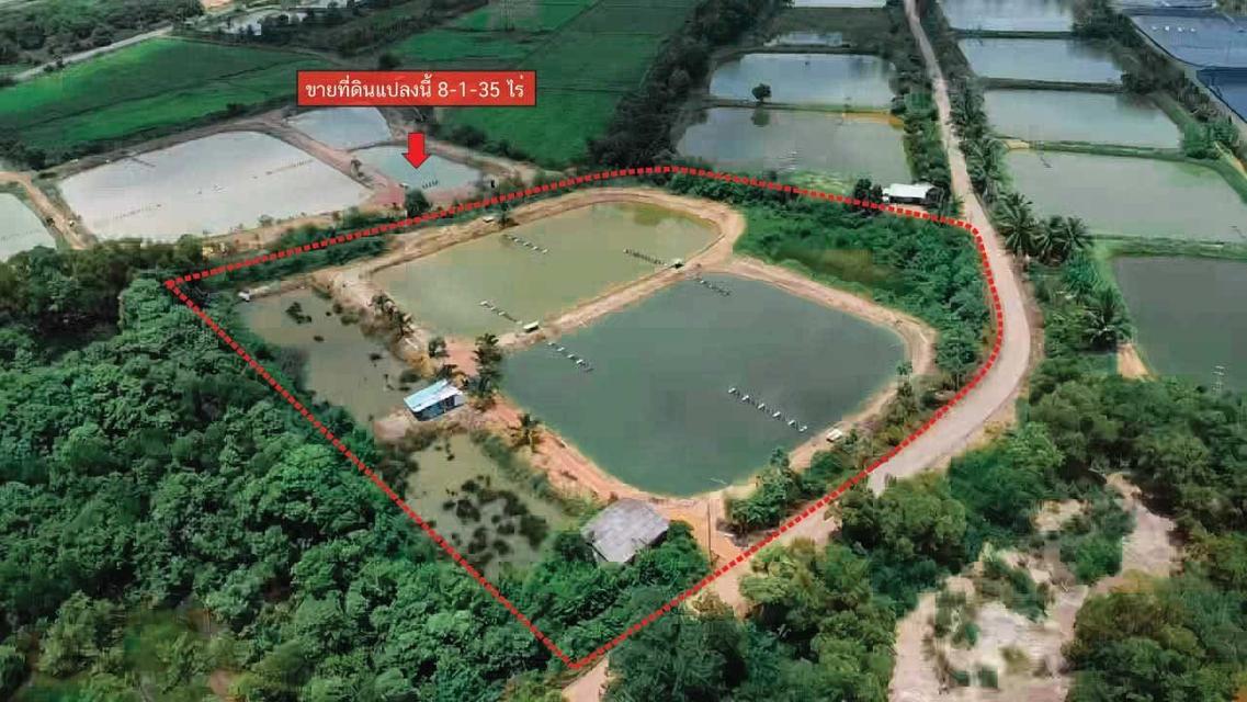 ที่ดิน บางคล้า ฉะเชิงเทรา  8