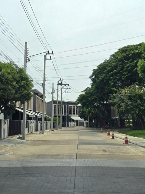 ให้เช่าทาวน์เฮ้า 2 ชั้น โครงการ พลีโน่ สุขุมวิท-บางนา Pleno Sukhumvit-Bangna ใกล้ เมกาบางนา  2