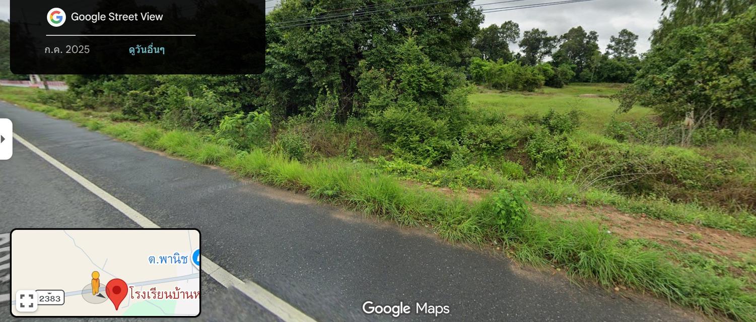 ให้เช่าที่นา 5 ไร่ 1งาน ที่อำเภอม่วงสามสิบ จังหวัดอุบลราชธานี 3