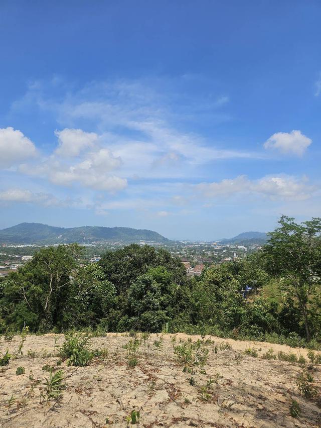 ขายที่ดินทำเลทอง 21.5 ไร่ ในภูเก็ต กะทู้ ป่าตอง Prime Land for Sale 21.5 Rai in Phuket Kathu District,Patong ตัดใจขายออกไปลดASSETส่วนตัวแต่เพื่อท่านๆ 17