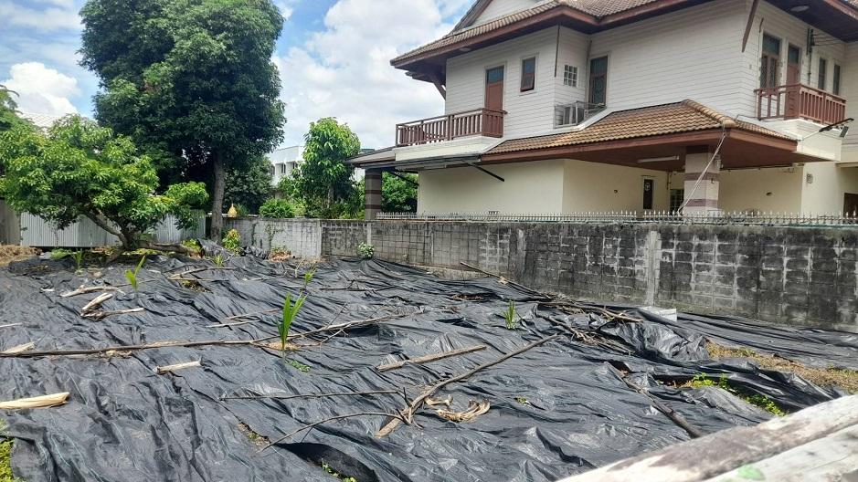 ขายที่ดิน 163 ตรว. แถวสี่แยกพิชัย ถนนนครไชยศรี เขตดุสิต ด้านหลังติดคลองสามเสน บรรยากาศดี สงบร่มรื่น 2