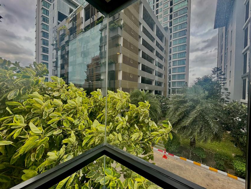 คอนโด The shy Sukhumvit 3