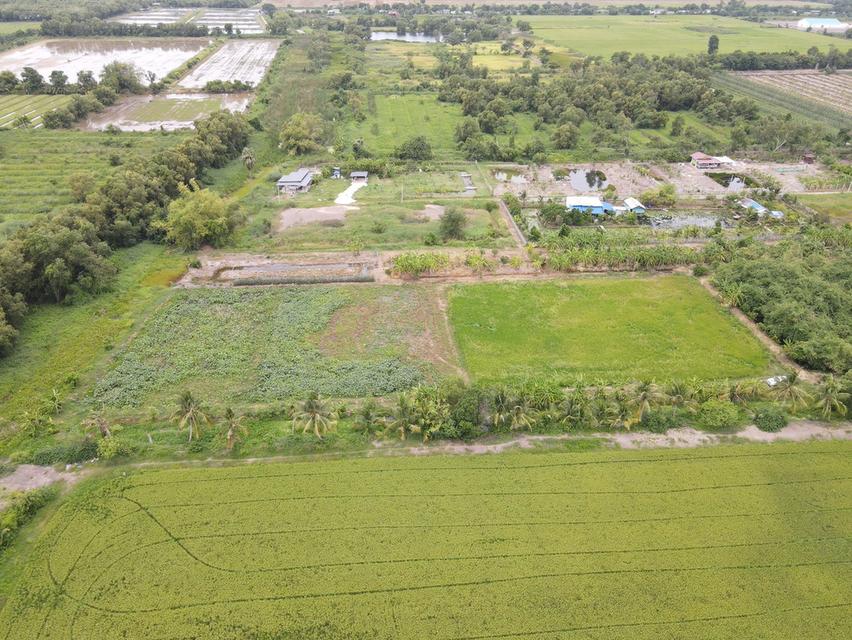 ขายที่ดินเหมาะสำหรับทำบ้าน ทำสวนและการเกษตร คลอง 11 ตำบล นพรัตน์ อำเภอ หนองเสือ ปทุมธานี 5
