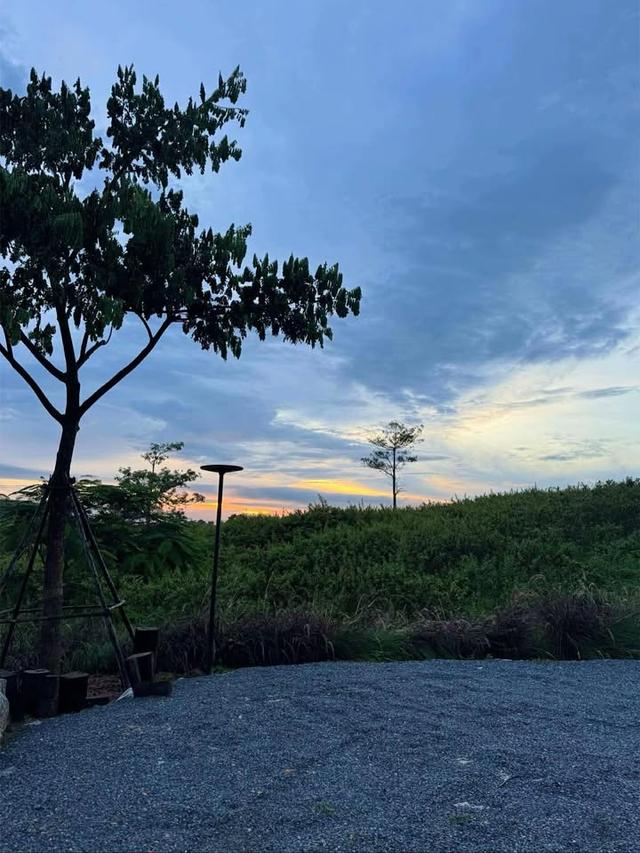 D Kanda Glamping วังน้ำเขียว  5 ไร่ 14 ล้าน 6