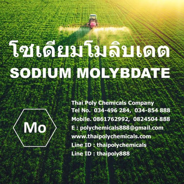 โซเดียมโมลิบเดต, Sodium Molybdate, ผงจุลธาตุโมลิบดินัม, โซเดียมโมลิบเดท, จุลธาตุในดิน, Micronutrients 1