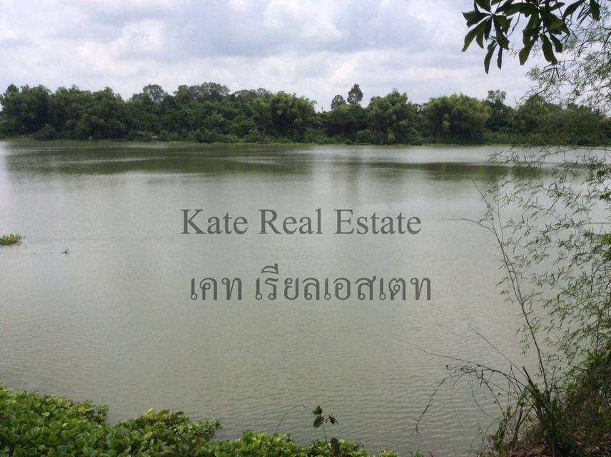 ที่ดินสวยติดแม่น้ำมูลทั้งผืน อากาศเย็นสบายทั้งปีหน้าที่ดินเป็นถนนคอนกรีตเทใหม่เอี่ยม  7