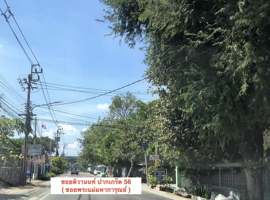 ขายที่ดิน 1 ไร่ ถนนติวานนท์ - ปากเกร็ด ซอย 56 ( ซอยพระแม่มหาการุณย์ 27 ) ปากเกร็ด นนทบุรี 098 7755 808 12