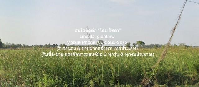 ที่ดิน ขายที่ดินเปล่า(ยังไม่ได้ถม) 0-1-0 ไร่ (100 ตร.ว.) ใกล้คลองนครเนื่องเขต อ.เมืองฉะเชิงเทรา ฉะเชิงเทรา 550000 THB ใก 6