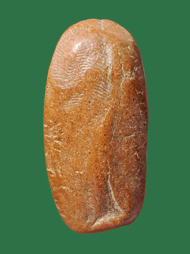 เปิดจ้า💞สนใจทักแชทได้เลยนะคะ 💚ส่งฟรีค่ะ 🥰 รูปที่ 3