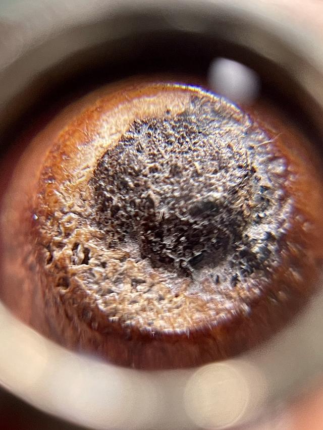 ตะโพนหลวงพ่อภักตร์ วัดโบสถ์หัวกะบัง อ่างทอง 6