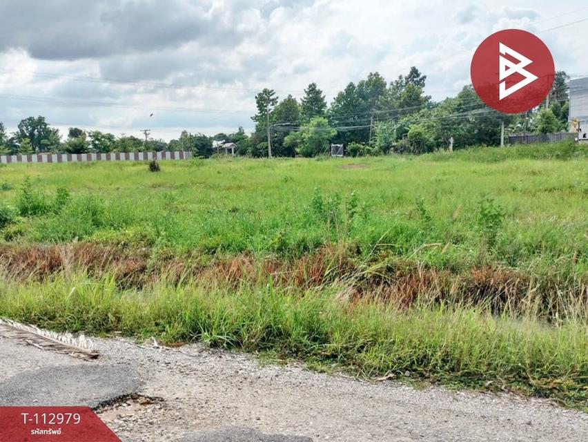 ขายที่ดิน เนื้อที่ 5 ไร่ ตำบลดอนทอง เมืองพิษณุโลก จังหวัดพิษณุโลก 7