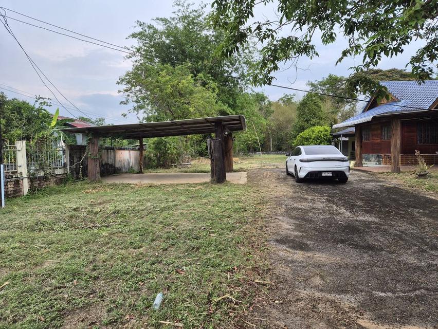 บ้าน บ้านเดี่ยวพร้อมที่ดิน 6