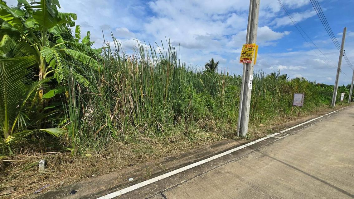 ขายด่วนที่ดิน 96 ตรว ติดถนนคอนกรีตสาธารณะ ซ.นายตึ๋ง บางกรวย นนทบุรี 5
