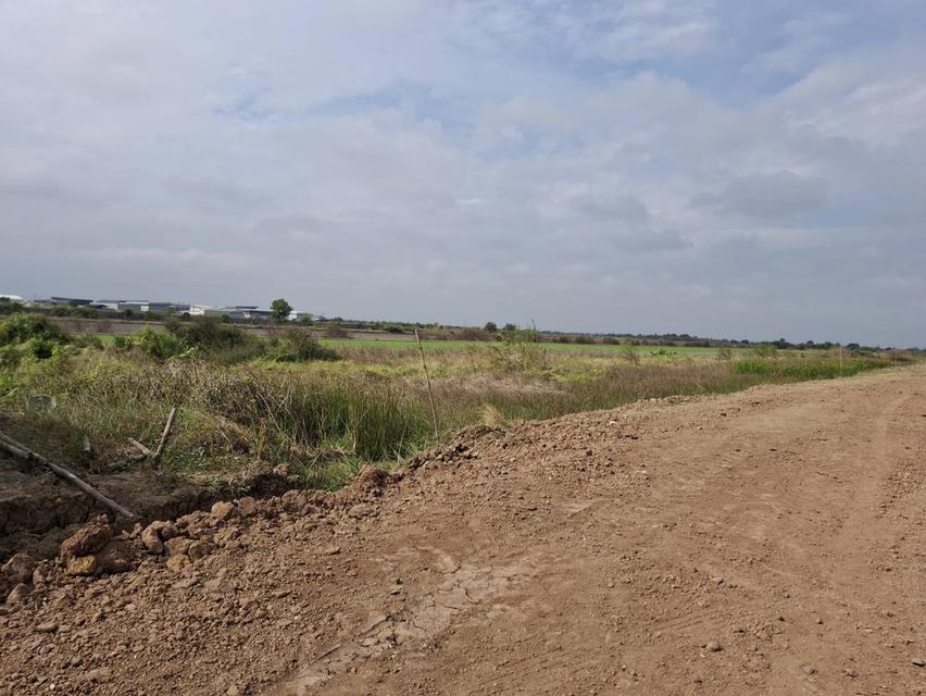 ขายที่ดินโกดังโรงงาน 2