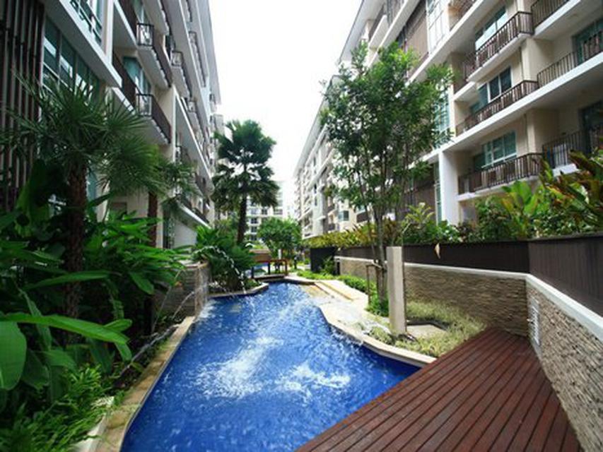 Condo for rent THE CLOVER THONGLOR RESIDENCE   1