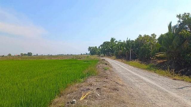 ขายที่ดิน เเบ่งเเปลงขาย ใกล้ตัวเมืองสุพรรณ น้ำไฟ พร้อม 4