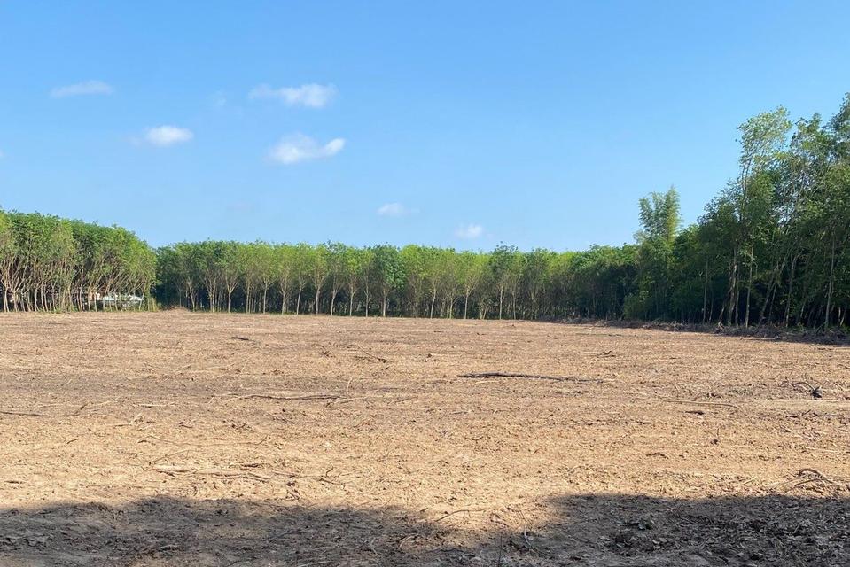 ที่ดิน แบ่งขายที่ดิน 3