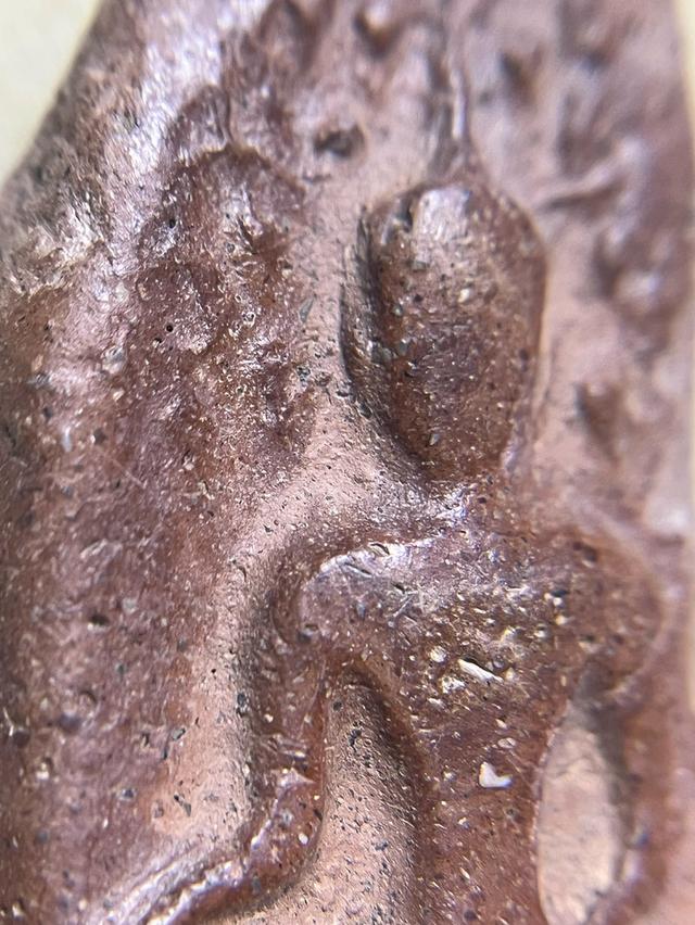 พระยอดขุนพล พิมพ์ปรกโพธิ์ 4