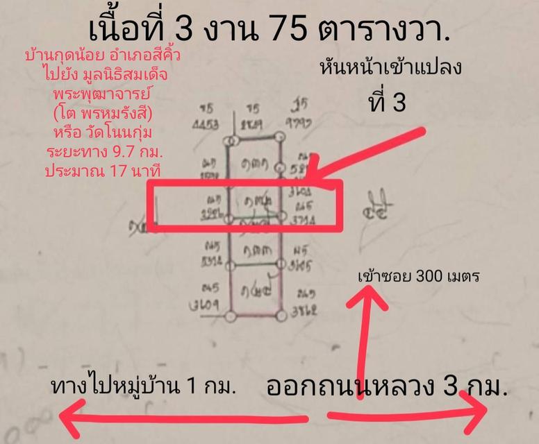 ที่ดินเปล่า บ้านกุดน้อย 3 งาน 75 ตารางวา อ.สีคิ้ว จ.นครราชสีมา 2