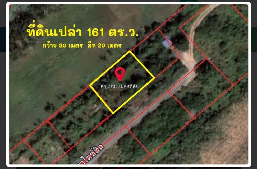 ขายที่ดินทำเลทอง เหมาะทำ Pool Villa - พัทยา ชัยพฤกษ์ 2/7 3